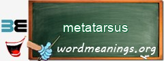 WordMeaning blackboard for metatarsus